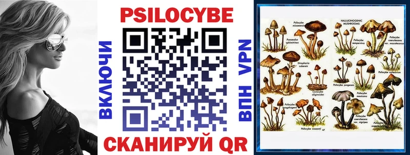 Псилоцибиновые грибы Psilocybe KRAKEN зеркало Подпорожье